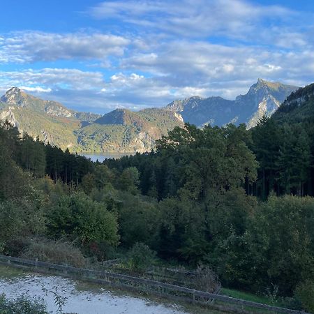 Pension 'S Waldeck Traunkirchen Εξωτερικό φωτογραφία